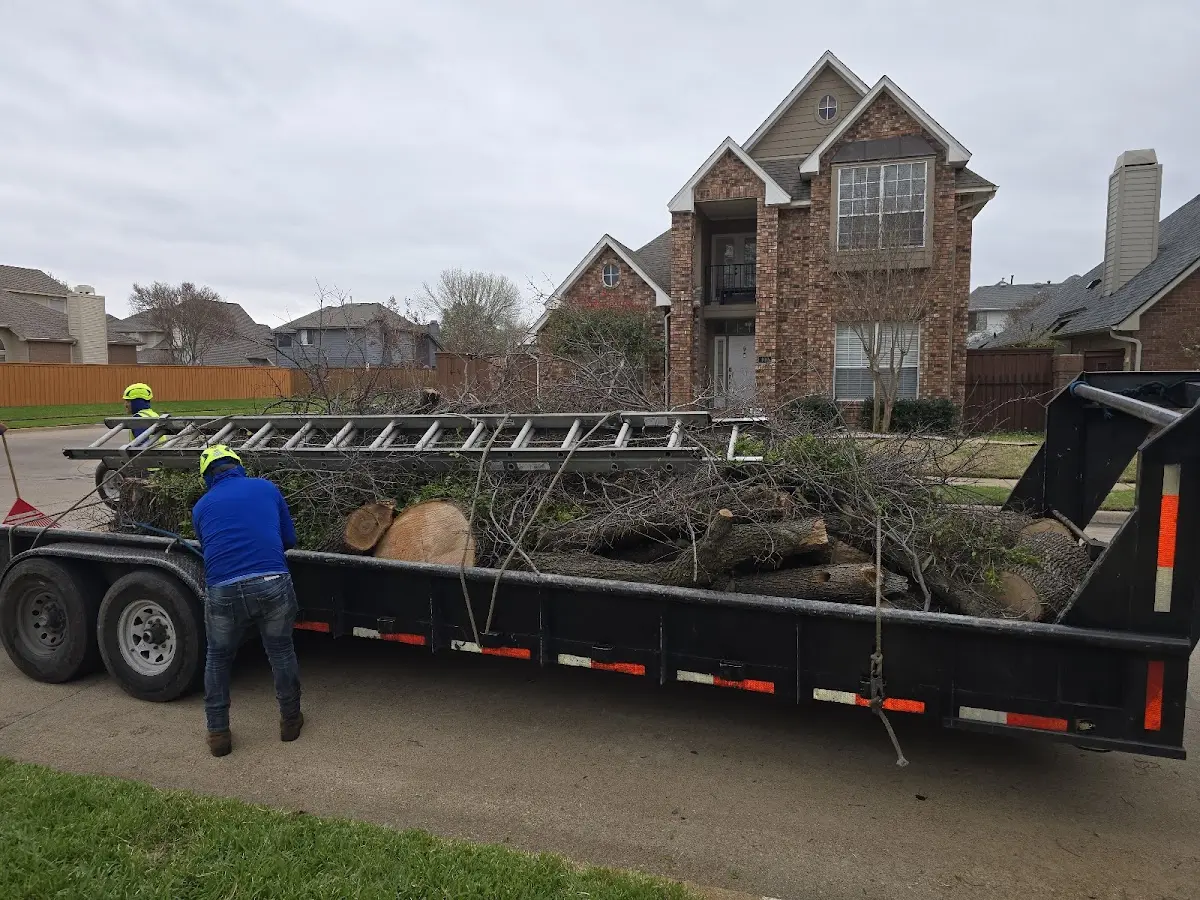Expert Tree Fertilization with proper safety equipment in Connelly Springs